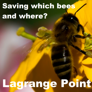  Episode 333 - Saving which bees and where