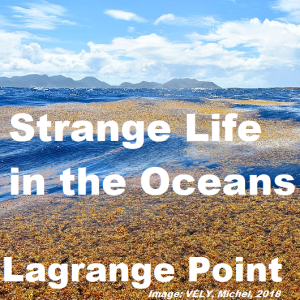 Episode 335 - Oceans, ocean size algae, deserts and fresh water in strange places