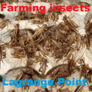 Episode 340 - Insects revolutionizing agriculture