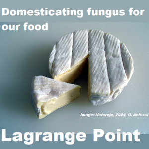 Episode 349 - Domesticating fungus for our food