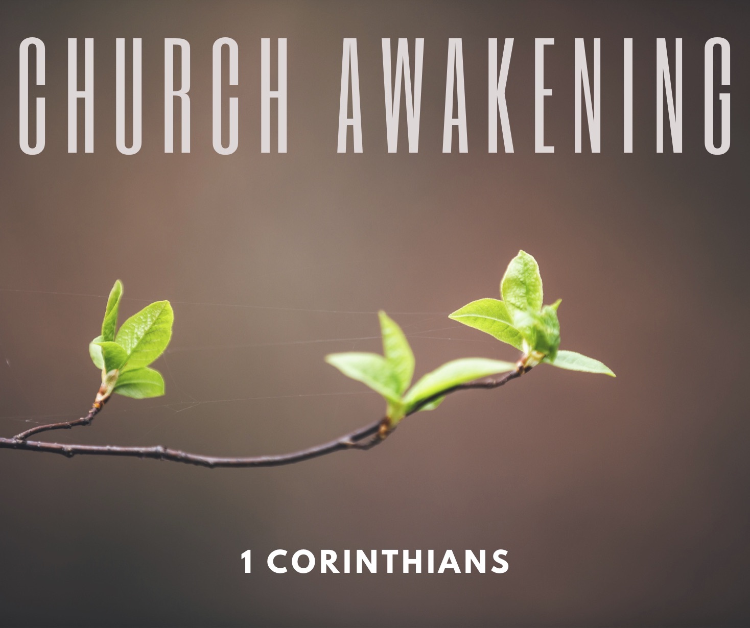 Unity! Worth Fighting For | 1 Corinthians 1:1-17