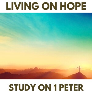 Making a Case for Hope | 1 Peter 3:13-22