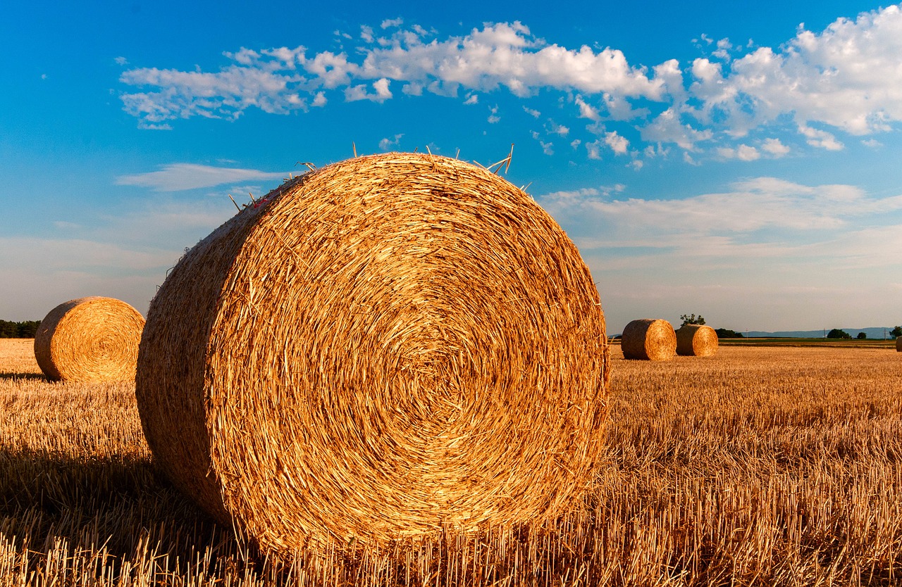 Europäesch Unioun schafft un der Reform vun den Agrarsubventiounen
