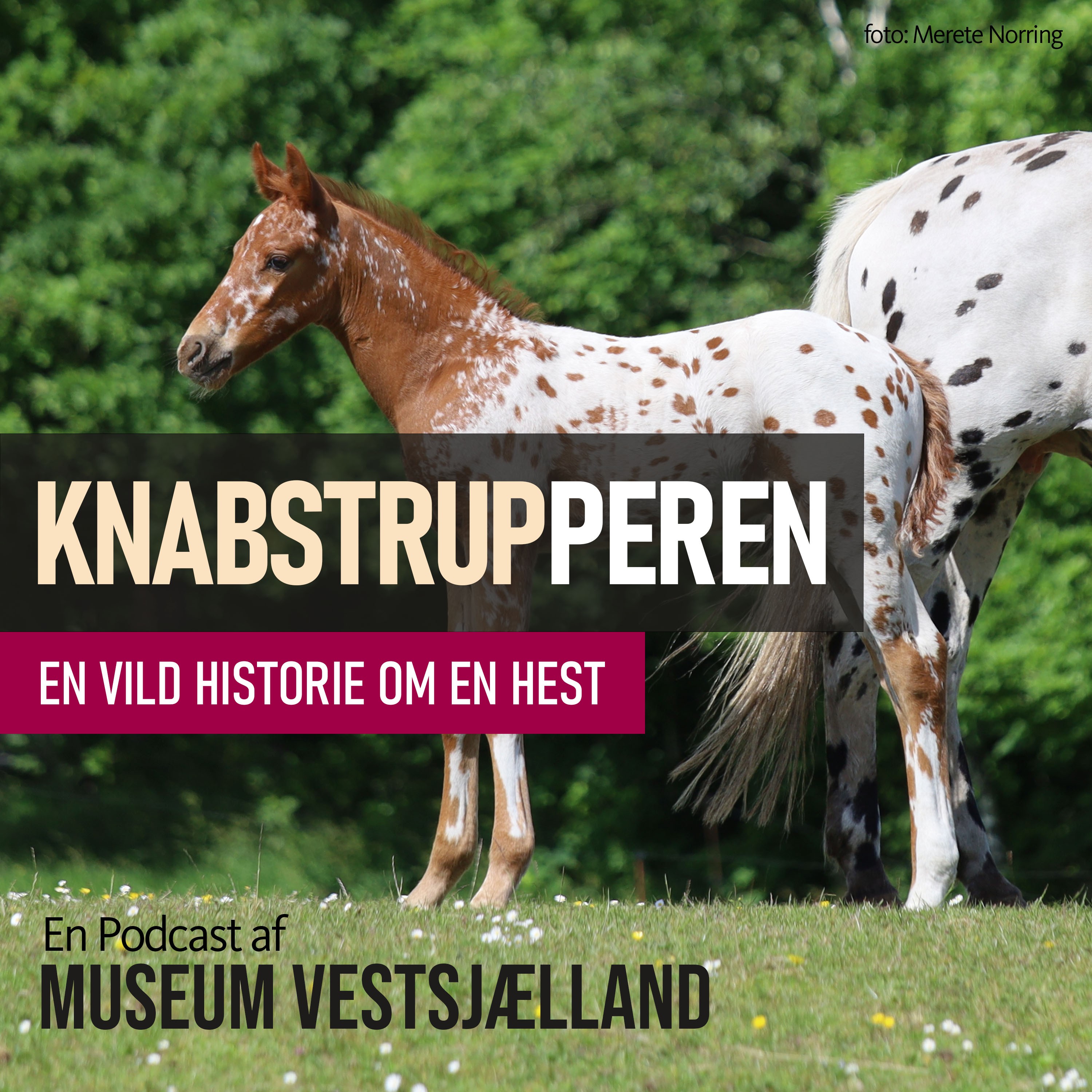 Museum Vestsjællands Podcast