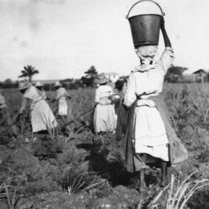 Vestindien 100 år - Hvad nu?