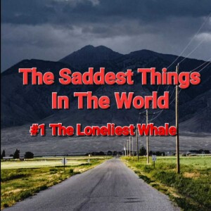 #1 The Loneliest Whale on The Saddest Things In The World Show