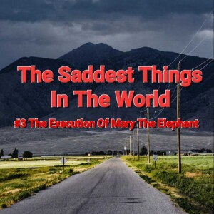 #3 The Execution Of Mary The Elephant on The Saddest Things In The World Show