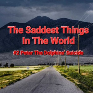 #2 Peter The Dolphins’ Suicide on The Saddest Things In The World Show