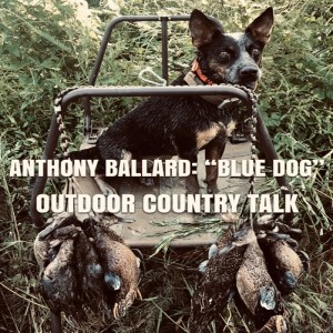 Anthony Ballard: “Blue Dog”