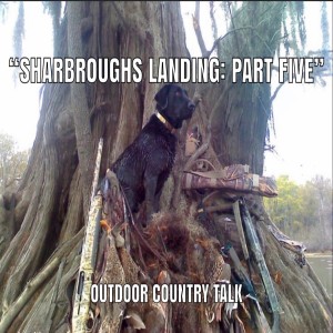 "Sharbroughs Landing: Part Five"