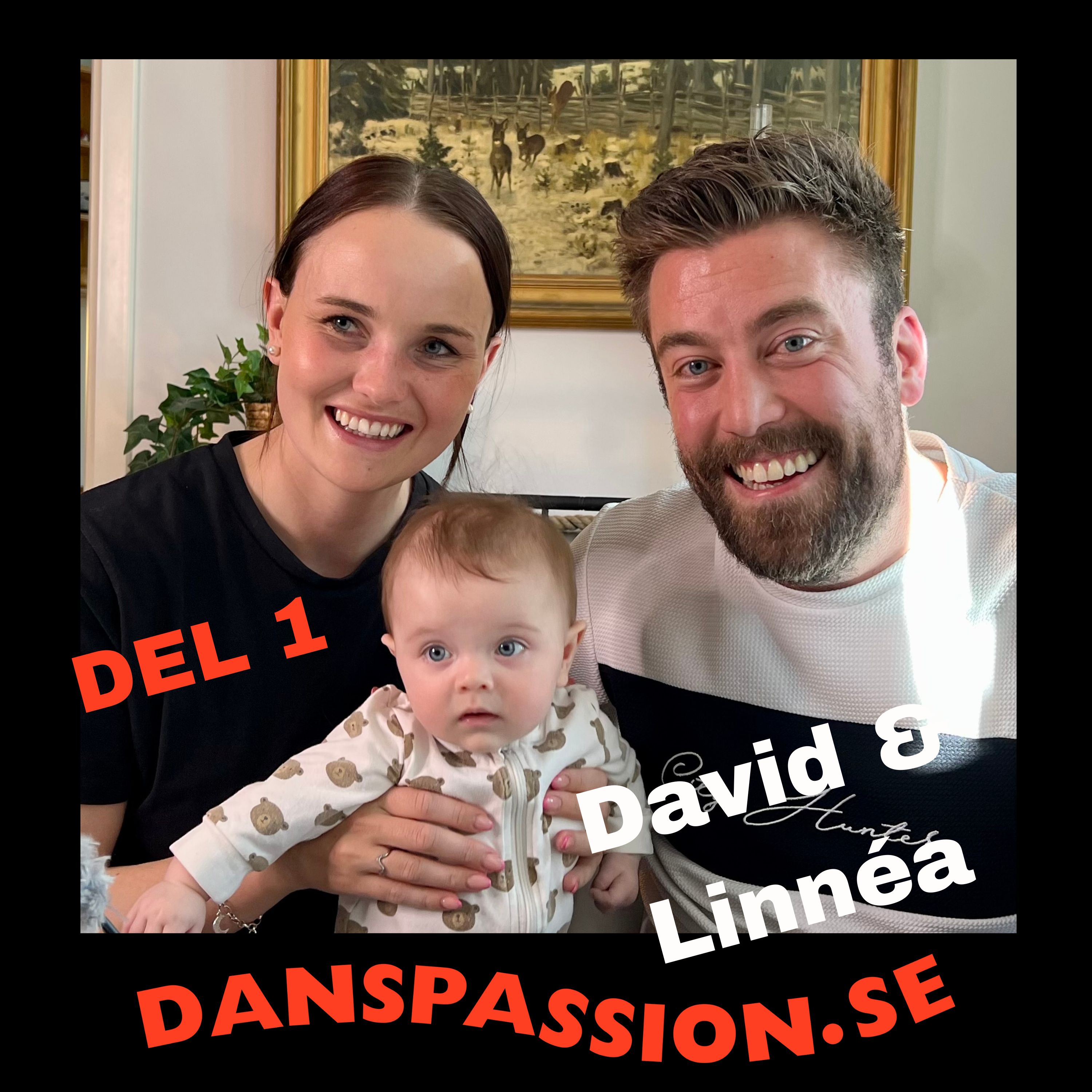 Danspassion
