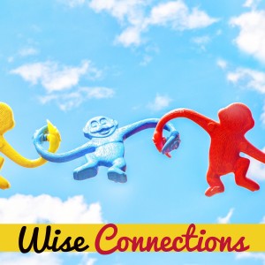 Wise Connections