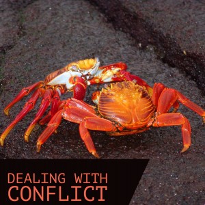 Dealing With Conflict