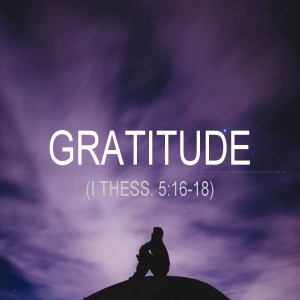 Gratitude