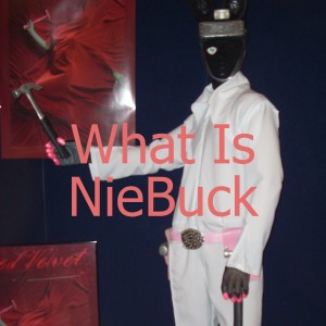 What Is NieBuck