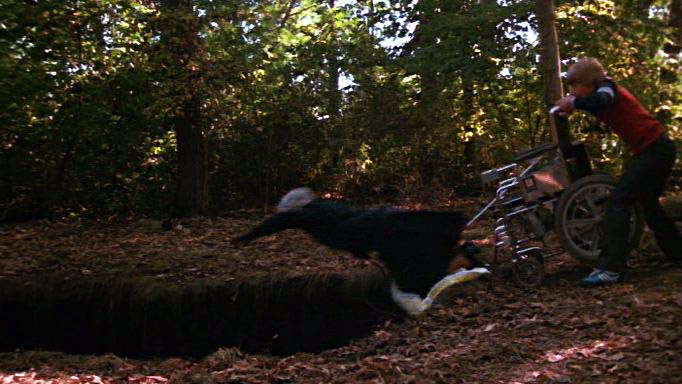 Cult Cinema Catacombs: These Films Exist!