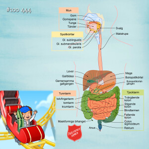 #100 444 Om förstoppning, skrattkuratorer och Åsskars allergier