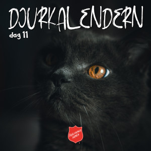 DJURKALENDERN DAG 11: Om sjuksköterske-katten Rademenes