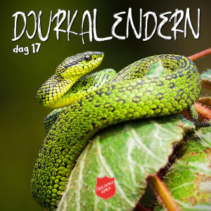 DJURKALENDERN DAG 17: Om läskiga ormar (och julmust)