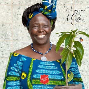 HISTORIEKALENDERN om Wangari Maathai