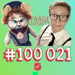 #100 021 FRÅGEAVSNITT 