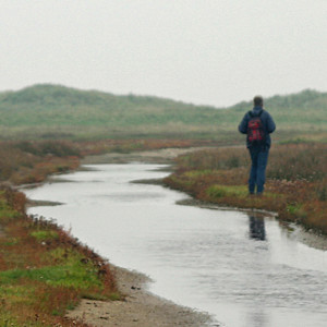 70: Dutch wetlands: from Wadden Sea to garden pond (1)