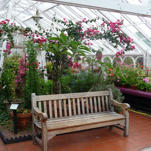 64: Botanische tuinen Birmingham
