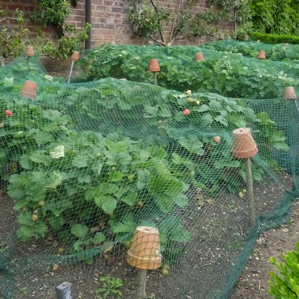 Discutafel podcast on eco-friendly gardening & permaculture