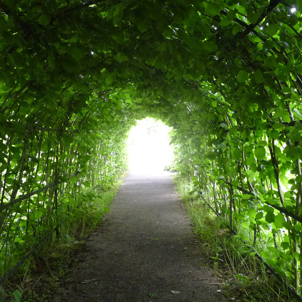 Discutafel podcast on eco-friendly gardening & permaculture