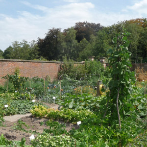 52: Historische moestuin Vordenstein