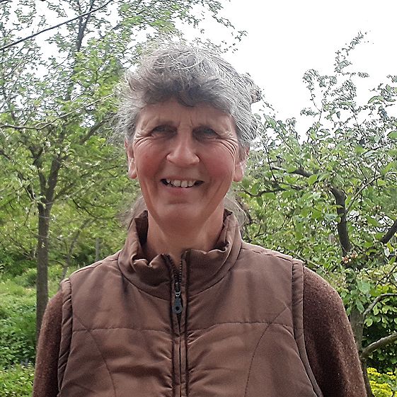 56: Naturentuin in Goirle deel 2