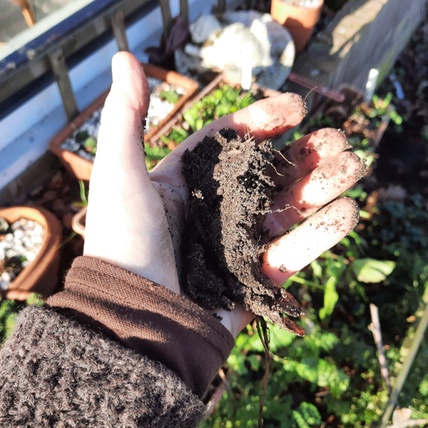 Discutafel podcast on eco-friendly gardening & permaculture
