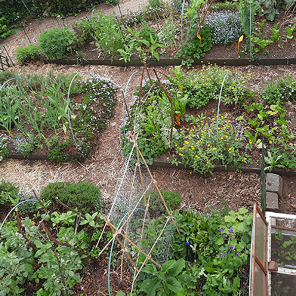 Discutafel podcast on eco-friendly gardening & permaculture