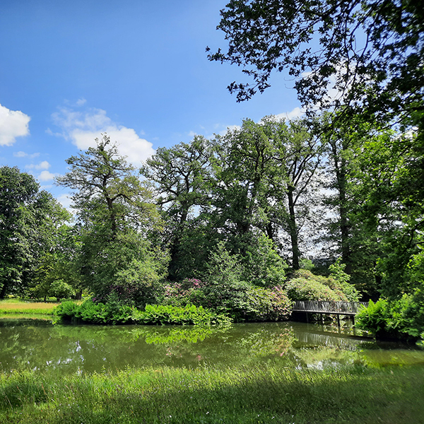 189: Kasteel Twickel: tuinen in romantiek (2)