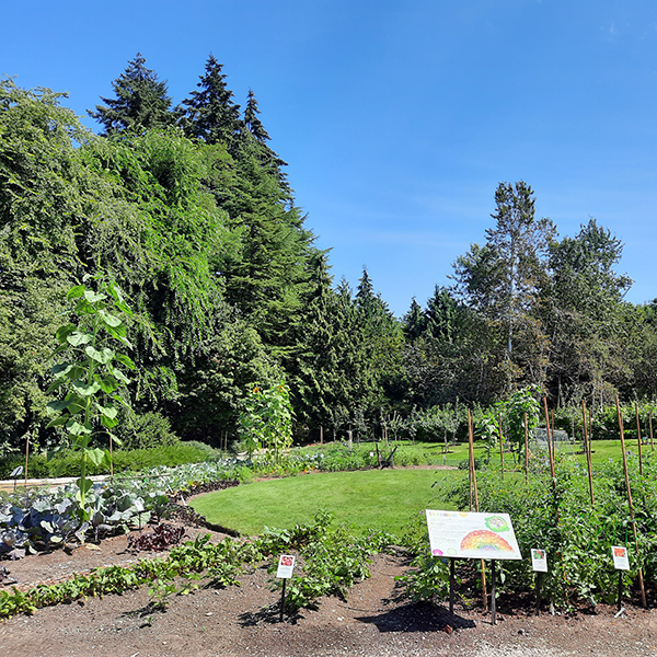 Discutafel podcast on eco-friendly gardening & permaculture
