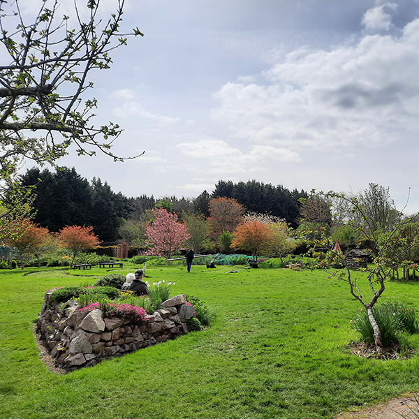 Discutafel podcast on eco-friendly gardening & permaculture