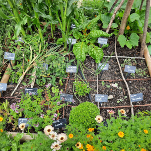 156: Kew Gardens: Kitchen Garden