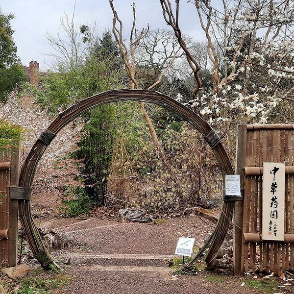 196: Chinese Medicinal Herb Garden in Bristol