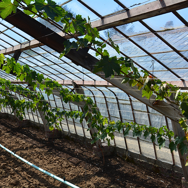 Discutafel podcast on eco-friendly gardening & permaculture