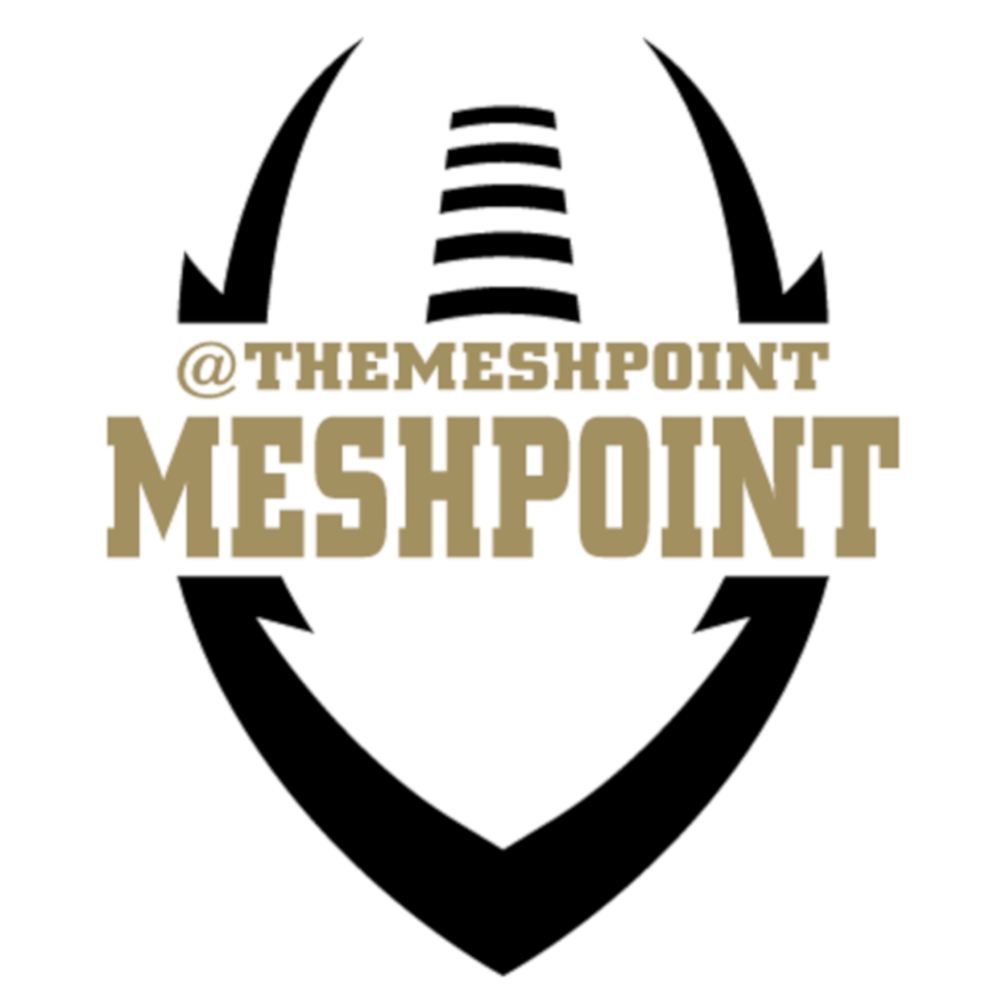 Meshpoint Podcast Introductory Episode