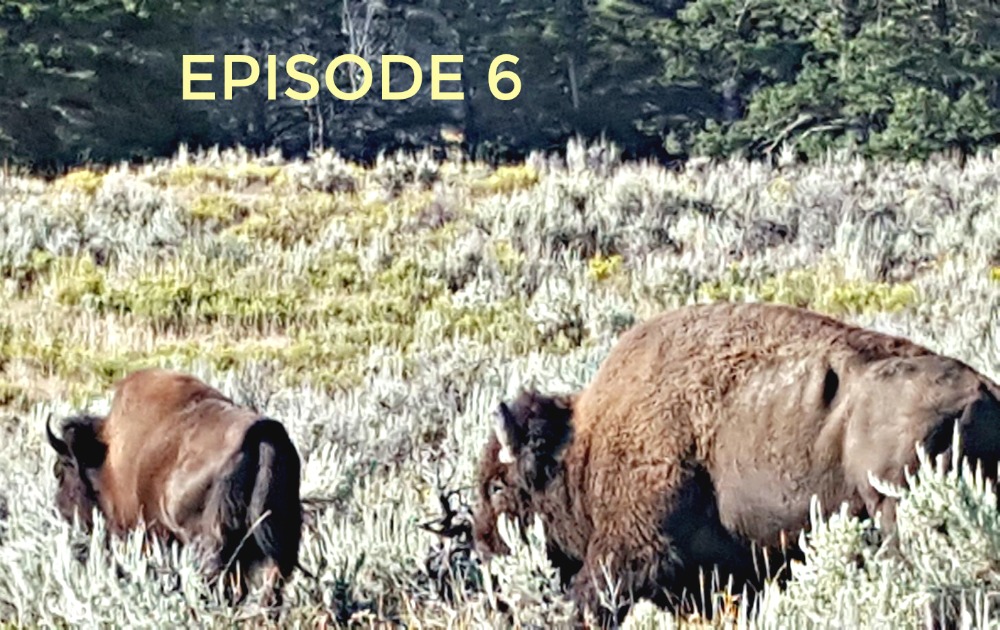 Episode 6: Montana