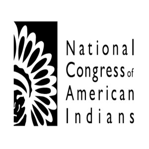 Talking With The President of The National Congress of American Indians