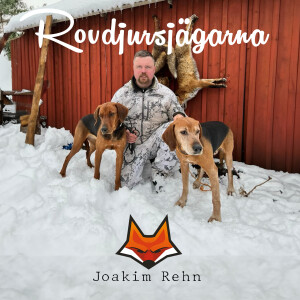 Schillerstövare - Joakim Rehn