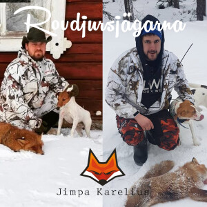 Rovdjursjakt - Jimpa och Karelius