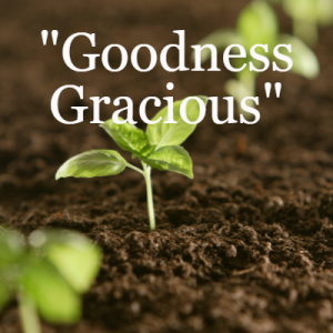"Goodness Gracious"