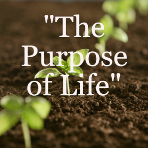 ”The Purpose of Life”