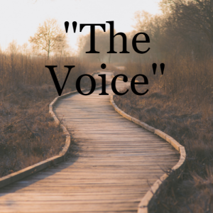 ”The Voice”