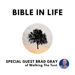 The Power of the Original Context | with Special Guest Brad Gray | 0096