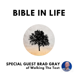 The Old Testament Law and the Big Story of the Bible | pt 2 with Special Guest Brad Gray | 0097