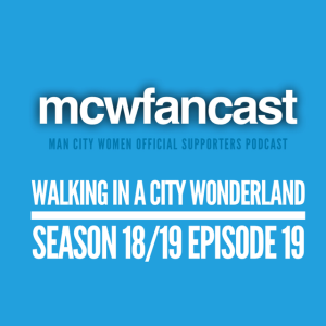 1.19 walking in a city wonderland